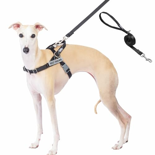 Wuffley Anti-Zug Hundegeschirr mit Leine, Hundegeschirr Kleine Mittelgroße Hunde, Geschirr Hund mit Griff und 2 Aufnähern, Reflektierendes, Leichtes Brustgeschirr Hund für Outdoor-Training（Schwarz，L