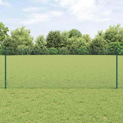 Valla de doble varilla con postes, color verde, 0,8 x 10 m, acero