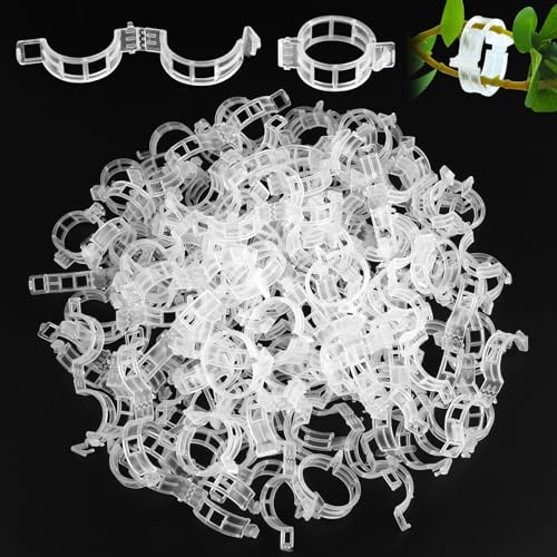 Qichan 250 Stück Pflanzenclips, Tomatenclips Verbinden, Pflanzen Clips Kunststoff, Pflanzenklammern, Wiederverwendbar Pflanzenclips Für Kletterpflanzen, Blumen, Gemüsefruchtx