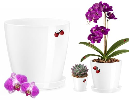 LiveLaif®- Macetas Decorativas Interior Blanca Brillo Ø20cm | Macetero moderno con Plato | Macetas plastico, Tiestos para plantas interior | Resistentes y ligeras