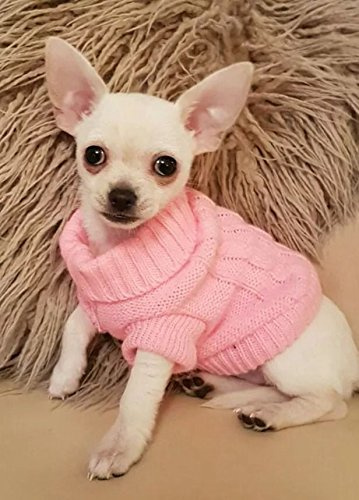 JUYUAN-EU Chat Chaud Hiver Tricot Pull£¬Pet Chien Jumper Chaud Jumper Chiot Manteau Veste Costume