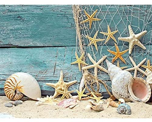 Zdklfm69 Peindre par Nombre Peinture par numéro Kits de Coquille de Sable Bricolage Peinture Abstraite par numéro sur Toile décor à la Maison numérique Peinture à la Main décorer 40x50cm