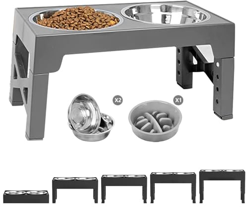 PETCUTE Gamelle Chien Surélevées de 5 Hauteurs Ajustables, Pliable Gamelle pour Chiens avec 2 Bols en Acier Inoxydable, Antidérapant,pour Chiens et Animaux de Compagnie de Petite,Gris