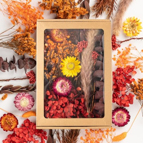 LAUMOE Trockenblumen Set - Mini Trockenblumen Bunt für Tischdeko DIY Epoxidharz Scrapbook Zubehör