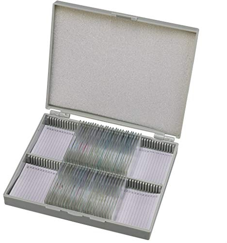 Bresser Mikroskop Dauerpräparate 30 Stück in Kunststoffbox, Lernpräparate Thema Tiere