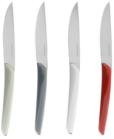 GENEVIEVE LETHU 537993 Set de 4 Couteaux à steak - lame en Acier Inoxydable L 22,5 cm - Collection ALLURE - Manches Multicolores en plastique - Couteau viande Compatible Lave-vaisselle
