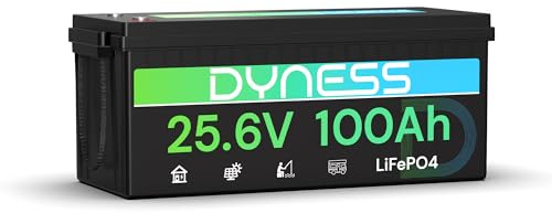 Dyness 24V 100Ah LiFePO4 Lithium Batterie mit Integriertem 100A BMS und Tieftemperaturschutz, ideal für 24V Trolling-Motoren(Boote), Wohnmobile und netzunabhängige Anwendungen