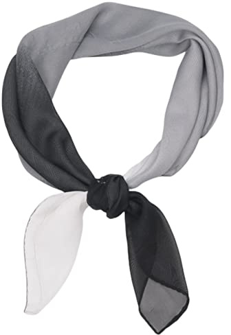 FAIRYGATE Seidenschal Damen Chiffon Elegante Seidentuch Haare Satintuch Halstuch Bandana Tuch Kopftücher Taschentuch Ansatz Scarf DA27