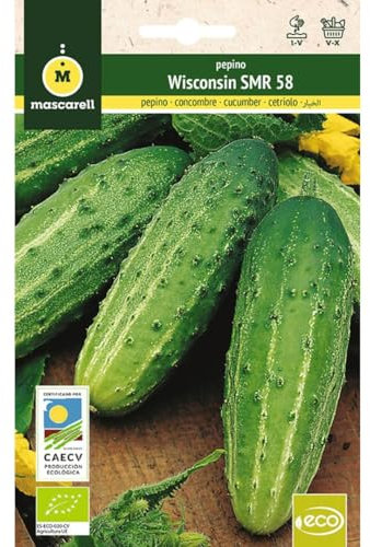 Mascarell Semillas, PEPINO WISCONSIN SMR58, Semillas Ecológicas, 3 Gramos
