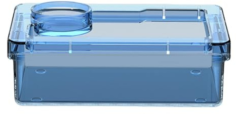 Para Camaleones Recipiente De Agua Para Dragón Barbudo