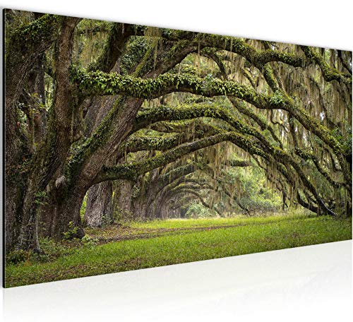Runa Art Wandbild Wald Landschaft 1 Teilig 100 x 40 cm Modern Bild auf Vlies Leinwand Natur Schlafzimmer Wohnzimmer Grün 609912a
