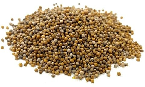 Agricultural Mustard Seed 1kg Green Manure LGH