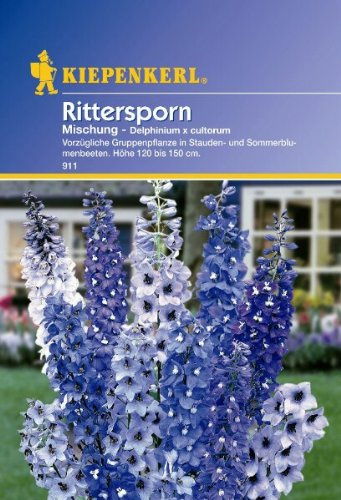 Delphinium Rittersporn mehrjährige Mischung