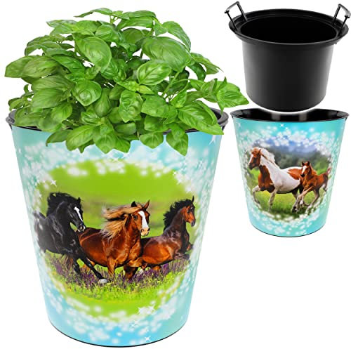 alles-meine.de GmbH universal Eimer/z.B. Blumentopf Pferde 10 Liter & extra Einsatz - wasserdicht - aus Kunststoff - Ø 28 cm - Papierkorb Spielzeugkorb/Popcornschüssel / ..