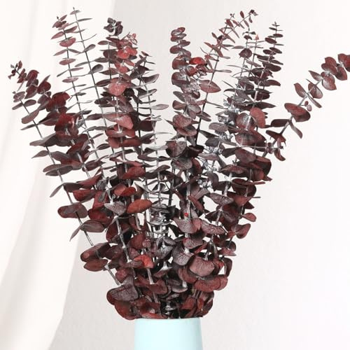 16 STK Getrocknete Eukalyptusäste, 44 cm Rot für Hochzeitsdeko & Duft