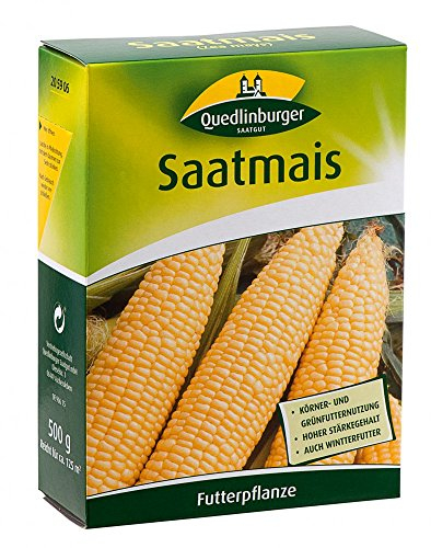 Quedlinburger 205906 Saatmais 500 g (Gründünger)