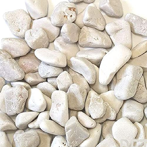 Galets en marbre blanc de Carrara ø 15/25 mm Sac de 25 kg Pour pots
