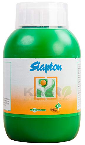 Christoffel Siapton (0,5 Liter)
