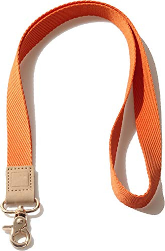 DQL Cordon tour de cou pour homme et femme – Cordon cool pour clés, portefeuille et porte-badge d'identité