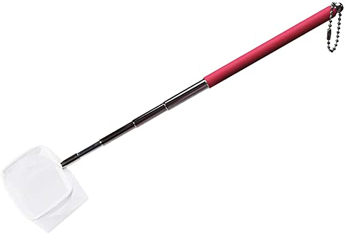 boxtech Fish Shrimp Skimming Net Feinmaschiges, erweiterbares Fischernetz mit Edelstahlgriff für Aquarium Pond Creek (Rot, Quadrat)