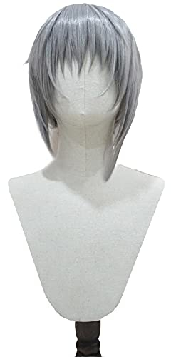 SEIZIS Anime Fruits Basket Souma Yuki Wig 35cm Short Heat Resistant Synthetic Hair Men Party Cosplay Wigs + Wig Cap Cosplay Anime Wig Coser