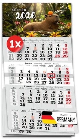 PRIMUS PRINT 4-Monats Einblockkalender 2026 mit Schieber - Wandkalender zum Aufhängen - großer Monatskalender- inklusive Feiertagen - verschiedene Motive, verschiedene Sets [ 1x Capybara ]