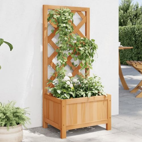 Fioriera con traliccio in legno massello di abete marrone per piante rampicanti, vaso largo e profondo con griglia per rose edera, design naturale