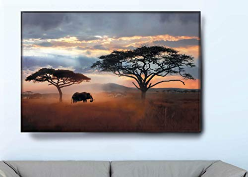 VFV Folien- und Werbetechnik Keilrahmenbild - Afrika - Moderne Wandbilder Leinwandbilder als Wanddekoration Wohnzimmer Deko (B 120cm x H 80 cm)