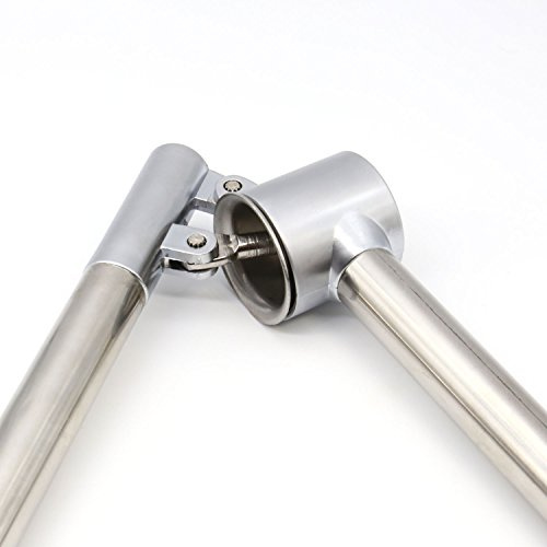 Presse-ail en acier inoxydable, Professionnel avec éplucheur à ail rôle & Brosse, Gingembre Presse Ail Détachable Hachoir à l'ail Chopper (1 Pack-Silver)