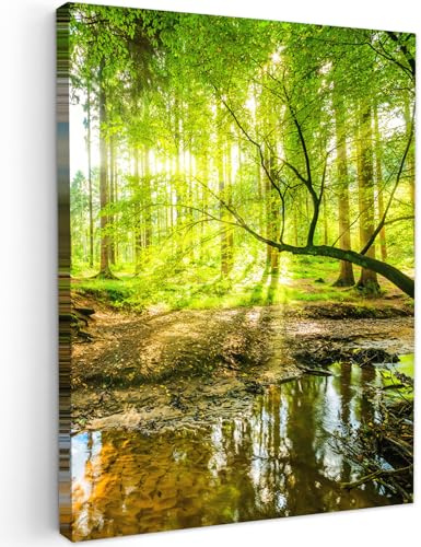 MuchoWow© Leinwandbild Dekoration Wohnzimmer Bilder Aufhängen Wall - Natur | 30x40 cm - Decoration Living Room Wohnungs Deko Moderne Wandbilder Bild Wald - Landschaft - Wasser - Bäume - Grün
