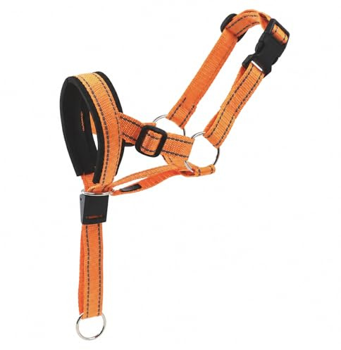 Dog Head Collar, AntiPull Dog Headcollar Adjustable Head Harness for Large Dog Muzzle for Training and Walking Comfortable Head Halter for Outdoor Control Orange XL