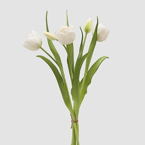 EDG Enzo De Gasperi Bouquete Tulipano Chiuso X4 H 40 Cm con Bocciolo Bianco