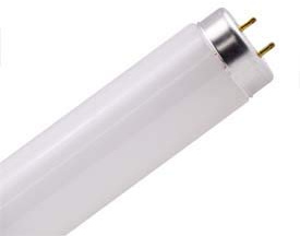 Technical Precision Replacement for Philips F15T12/SOFT White Light Bulb