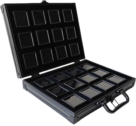 GMBYLBY Pratica valigetta in alluminio con inserto in gommapiuma, per una protezione sicura dei gioielli e comfort da viaggio