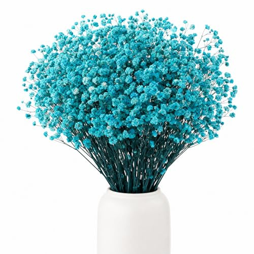 BOSONER Pampasgras Trockenblumen Schleierkraut Getrocknet: Ewige Blumenarrangements Pflegefreie Trockenblumenstrauß Für Hochzeits Deko Schlafzimmer Home Decoration Vase Basteln 120 Gramm (Blau)