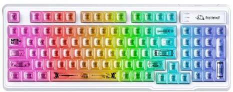 FREEWOLF M95 Clavier à Membrane Filaire avec Touches PBT Transparentes, Rétroéclairage RGB Arc-en-Ciel, Clavier de Jeu 94 Touches avec Pavé Numérique, QWERTY, Frappe Silencieuse Anti-Ghosting–Blanc