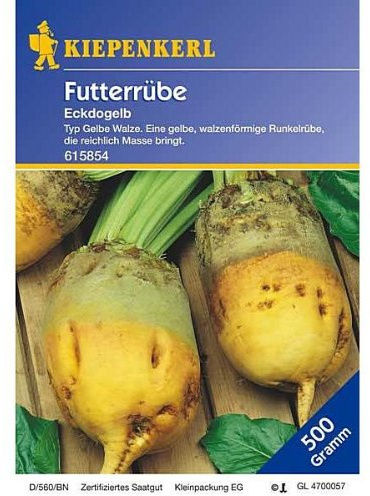 Sperli 615854 Gemüsesamen Futterrüben Eckdogelb, grün