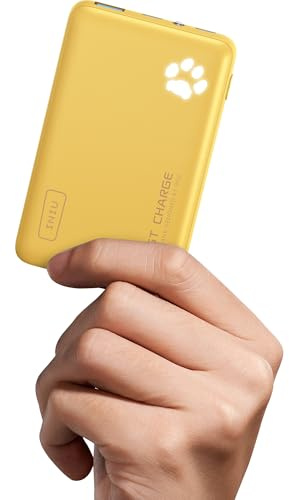 INIU Batterie Externe, 22,5W PD Petite Power Bank 10000mAh, Batterie Portable Charge Rapide Compatible avec iPhone Samsung, Voyage Randonnée Camping Accessoires pour Hommes et Femmes, Orange