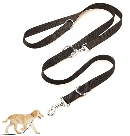 Hundeleine Schwarz, Stabil Und Verstellbar Für Große Und Kräftige Hunde, Mit Zwei Karabiner (2,5 X 260 cm)