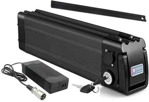 48V 10AH 13AH 15AH 17.5AH 20AH Elektrofahrradbatterie E-Bike-Lithium-Ionen-Batterie Li-Ionen-Akkupack mit Ladegerät für 100W 200W 350W 500W 750W 800 W Mopedmotor 48V17.5Ah