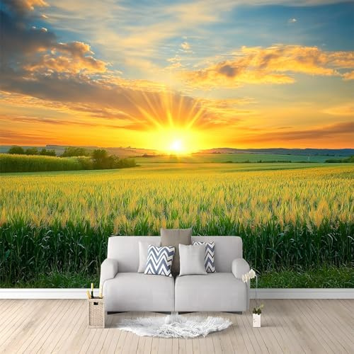 Papier Peint Panoramique 3D Paysage Coucher Soleil Sur Les Champs Campagne 300x210 cm Papier Peint Photo Mural Intissé, Poster Tapisserie Mural Personnalisé 3D Pour Salon Chambre Décoration Murale