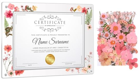 Kathfly 11 x 14 Inch Clear Acrylic Wall Mount Picture Frame Self Adhesive with Pink Dried Pressed Flowers Floating Frameless Clear Photo Frame for Diploma Certificate Degree Painting Artworks Craft