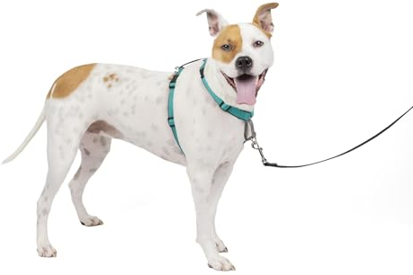 PetSafe 3-in-1 Hundegeschirr, Anti-Zieh, Hundegeschirr für Autogurt, Hundegeschirr Auto, Anti-Zug Hundegeschirr, Reflektoren, Geschirrgriff, Größe M ; schwarz, blau, lila