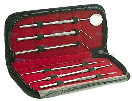 Strumento per la rimozione del tartaro del dentista, strumento per il dentista, raschietto per denti per tartaro, strumenti per la rimozione (kit da 6 pezzi)