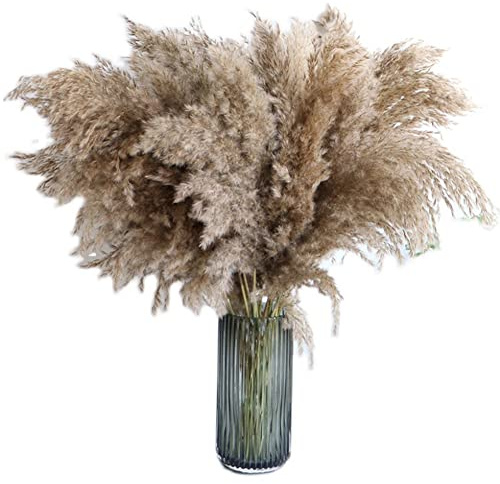 Surakey 20 stycken pampasgräs, torkade naturliga torkade blommor, dekoration – fluffigt pampasgräs, växter, torkade blommor, vaser, dekoration, bukett, boho-dekoration för inomhusbruk, fotografering, bröllop