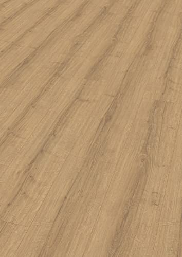 EGGER Laminatboden Aqua Clic It EL1007 Sherman Eiche honig (8mm, 2,542m²) | authentische Holzoptik | | Einfache Verlegung durch Klicksystem | Praktisch & wertbeständig