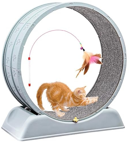 Rueda de Ejercicio de Gato para la Pista alfombrada Interiores, Ultra mesas y extraíbles, con Mecanismo de Bloqueo para la Vida más Larga de Kitty