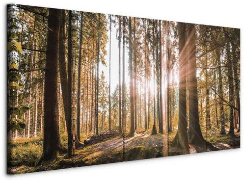 B&D XXL - Leinwandbild Waldlandschaft Natur, 225x90 cm, 5-teilig, modern | Hochwertige Leinwand, sofort aufhängbar, ideal fürs Wohn- oder Schlafzimmer, wasserfest und lichtecht, langlebig, stilvoll