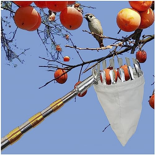 DXDRT Obstpflücker Apfelpflücker mit Teleskopstiel und Stoffbeutel, Leicht Obsternter aus Metall, Obstfänger zum Ernten Äpfeln, Kirschen, Pflaumen,Zitrus,Pfirsich,Birnen Usw,3M/9.8FT