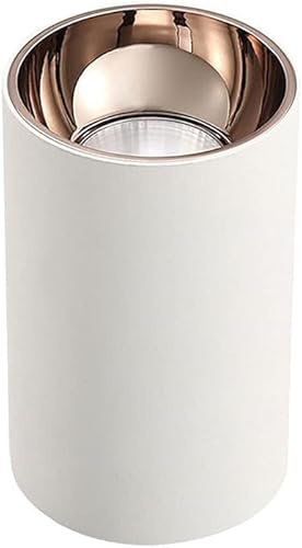 BFFGKGL LED Ceiling Spotlight Surface Mounted Spot Light Modern White Bedroom Directional Ceiling Mount Light Fixtures Indoor Kitchen Ceiling Downlight Gallery Picture Lighting For Living Room Foyer